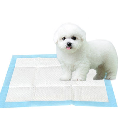 Waterproof 60*90cm Disposable Puppy Training Pads Dry Surface